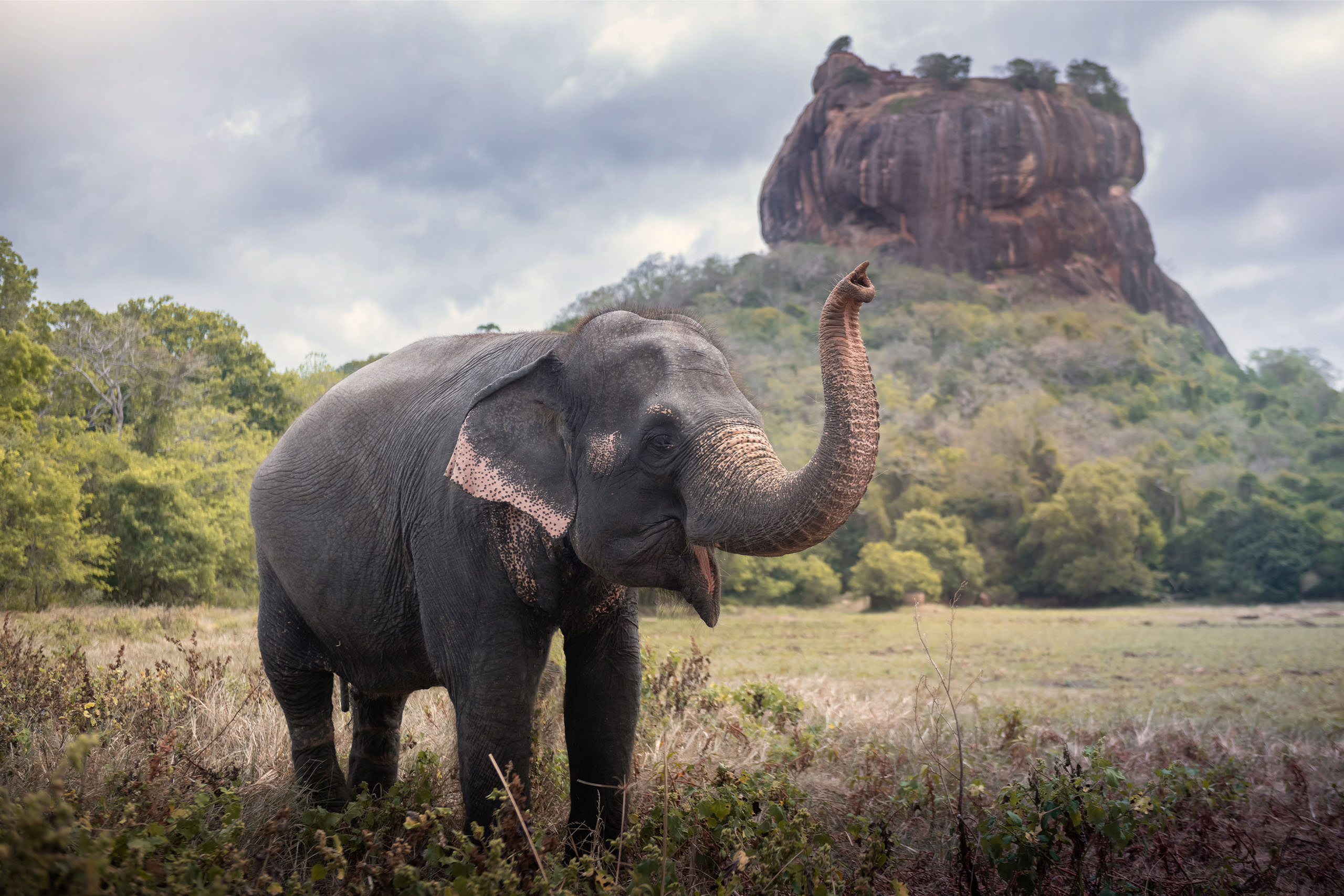 PJ, Praktikum, Pflegepraktikum, Praxisphase für PAs oder Famulatur auf Sri Lanka